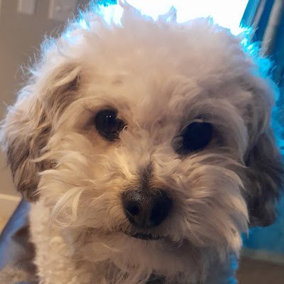 JackOLantern058's profile picture. 