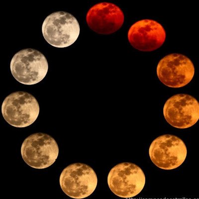 AnthonyR4368's profile picture. 