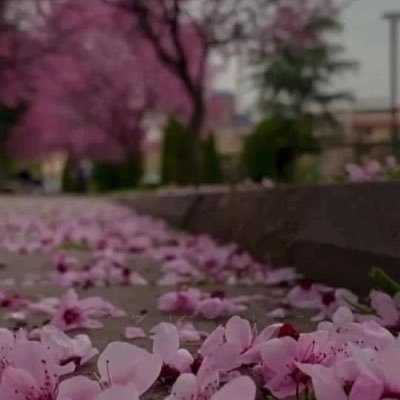 mym14484's profile picture. 