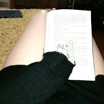 _pvpa_'s profile picture. Poly