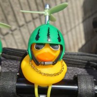 埼玉西武魂〜🦁2025獅子奮迅を期す🥎〜 (@hdo_ssl_m) 's Twitter Profile