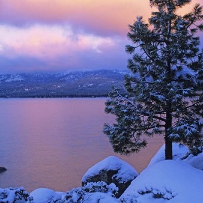 Speeg9's profile picture. 🏳️‍🌈