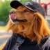 Alpha ‘funny…’ DogxXx 🇨🇦(🇺🇸?) (@gingergilgamesh) Twitter profile photo Alpha ‘funny…’ DogxXx 🇨🇦(🇺🇸?) (@gingergilgamesh) Twitter profile photo