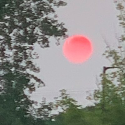 bign0name_'s profile picture. 