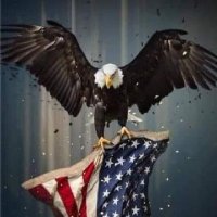 Katkrazy32 (@katkrazy3279881) 's Twitter Profile