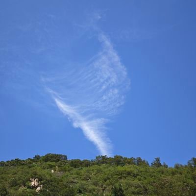 Billwang1231's profile picture. Beijing,PRC
Facts&Truth