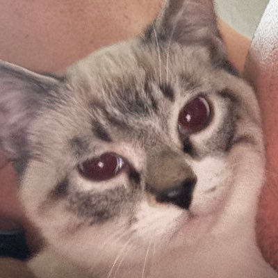 michaelmac92158's profile picture. Jacksonville jaguars