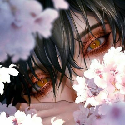 StarlightM21295's profile picture. 