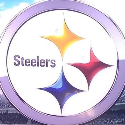 Sports Enthusiast
Steelers, Pirates, D-Backs, Penguins, ASU, Suns
4 a.m. bedtime