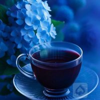 💐samr846🌴 (@samr55m) 's Twitter Profile