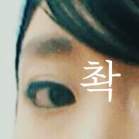 촥촥이 (@chogchogi3) 's Twitter Profile