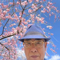 kishimoto2306 (@kishimoto23061) 's Twitter Profile