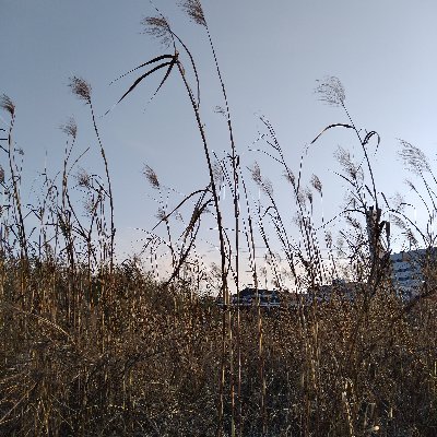 Nagisasannnagi's profile picture. ナギサ好き