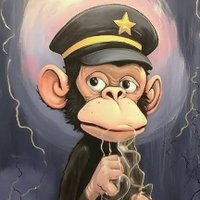 Crypto Canvas ♂️ (@nftz_canvas) 's Twitter Profile