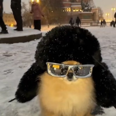 gCMKfsySeO67053's profile picture. 