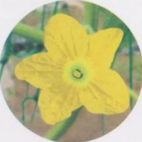 夜色儿 (@pp_rbyyyyy) 's Twitter Profile Photo 夜色儿 (@pp_rbyyyyy) 's Twitter Profile Photo