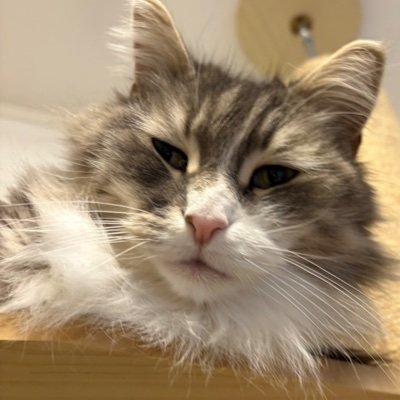 marketblog0619's profile picture. 