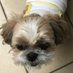 wendy (@wendy5708535732) Twitter profile photo wendy (@wendy5708535732) Twitter profile photo