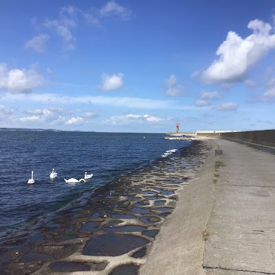 AlTes54624's profile picture. 