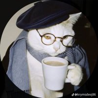 Mr Meme (@korobashii) 's Twitter Profile