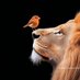 M Waris Paktiawal (@mwarispaktiawal) Twitter profile photo