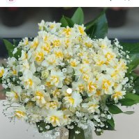 Alev Cenk (@ipekatilla5706) 's Twitter Profile