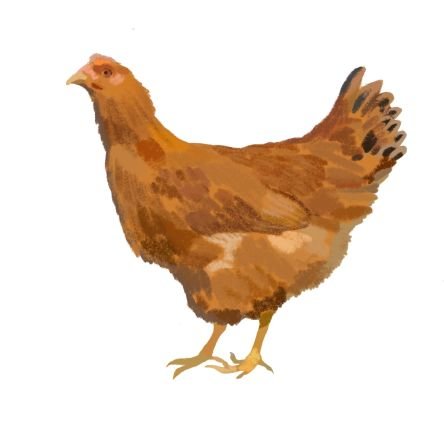 koujousijousyug's profile picture. 飛べないです。飛ぶ必要を感じてません。でも走り続けます。
PCがあれば万事解決って程度にはPCを愛してデザインやらライターやらAIやら楽しんでるアラサーオッサン。