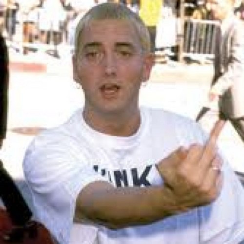 ShadyTail's profile picture. if you dont like eminem then get off my page
