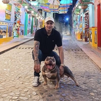 acamiloz1984's profile picture. @twingoelexotico en tik tok