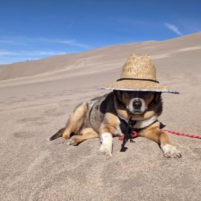 trxyfnbr's profile picture. @itsmassimoFN | @baydo132