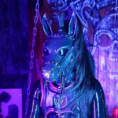 Latex pony/pup/pet) Now mostly Pony 🐴 Looking for a handler, Pm friendly )