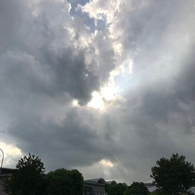 Tian_property's profile picture. XRP evangelist 589