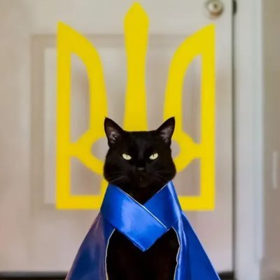 LiudmylaAndrei2's profile picture. Slava Ukraine🇺🇦