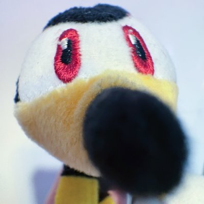 Katiaさんのプロフィール画像