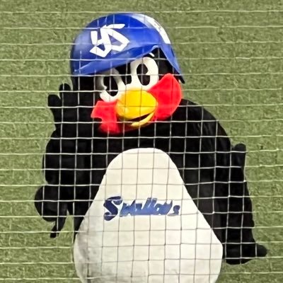 BmwMasaru's profile picture. SWALLOWS#19・200勝へ向けて全力応援中‼️もちろん他選手も応援😉👍✨よろしくお願いします。ʕʘ‿ʘʔ