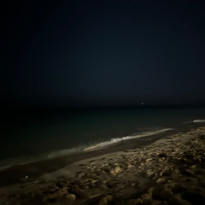 dauntles0's profile picture. 