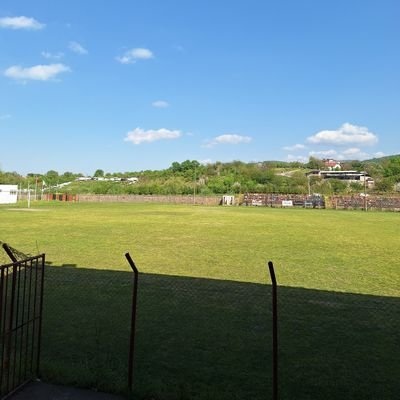 TheSpecialCommt's profile picture. 