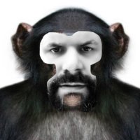 Dr. Kek (@thekeksociety) 's Twitter Profile