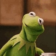 angryfrog00's profile picture. 