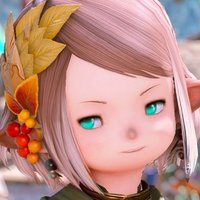 まるちぇっと🦝 (@ffxiv_dodo) 's Twitter Profile