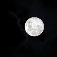 Big T (@catsbmh22) 's Twitter Profile