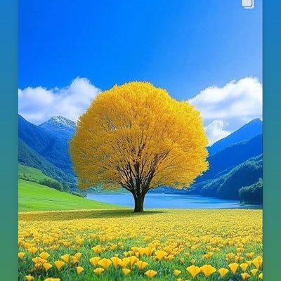 lch1004ho's profile picture. 