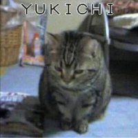 Shin (@u32ctetmischjum) 's Twitter Profile