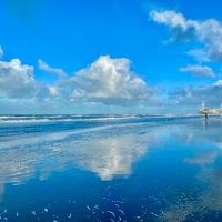 ET (@swdcts) 's Twitter Profile Photo