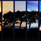 HalderTrim42449's profile picture. nothing