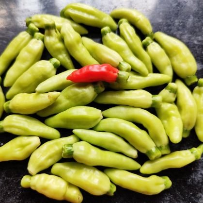 rono0856's profile picture. 