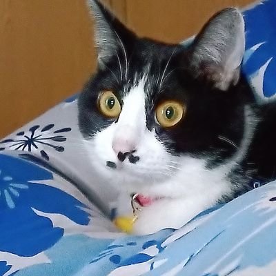TDRxrgZfQjkJJMj's profile picture. 