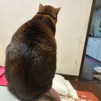 Toshiya Asoda (@toshiyaasoda) Twitter profile photo