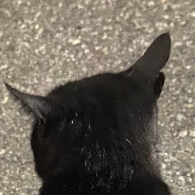 た　つ　まさんのプロフィール画像