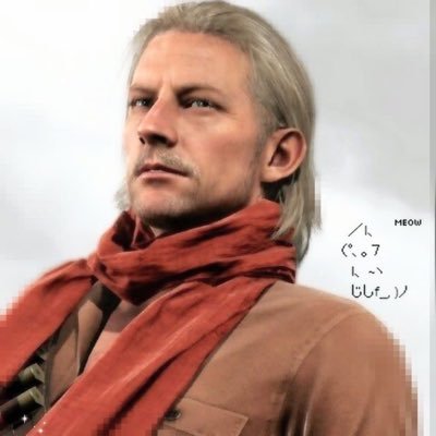he/him | ∞ | 19 | wrestling, mgs, audio dramas, disco elysium, the mechanisms, yakuza, house md | 🇵🇱 | 🇵🇸 | revolver ocelot & cm punk freak